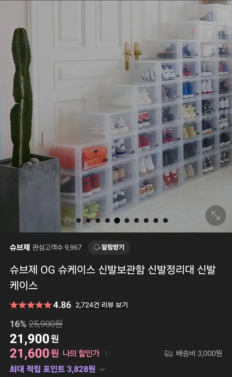 프리미엄 신발케이스 보관함 슈브제